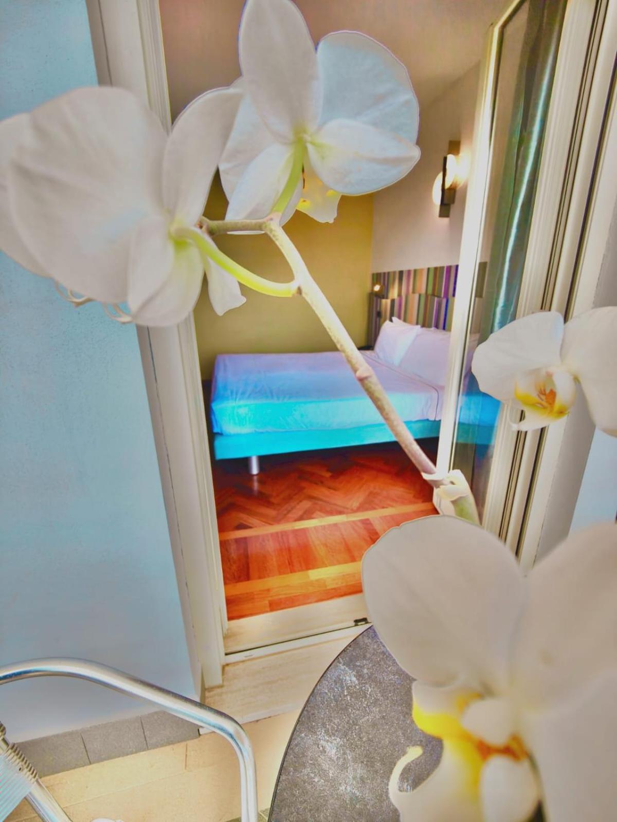 Ha Hotel Bracciano  Εξωτερικό φωτογραφία